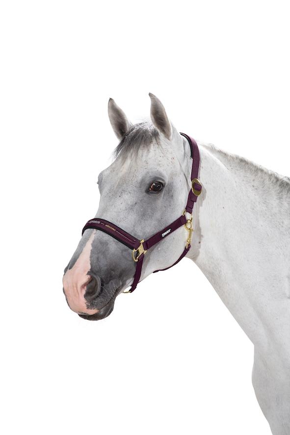 Eskadron Sliding Buckle Headcollar -Dark Brown-Shetland (P1)-